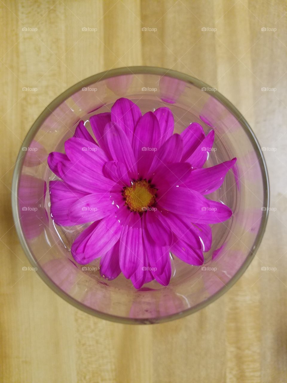 flower in a wine glass