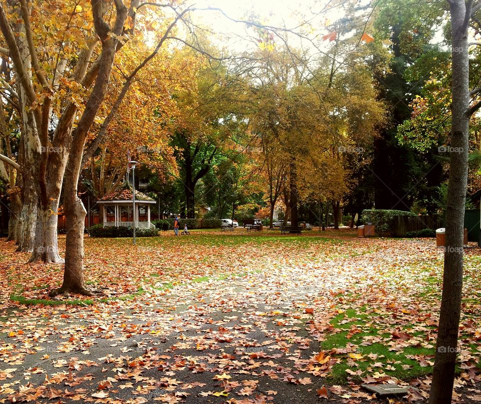 Somewhere in Sonoma, Ca.