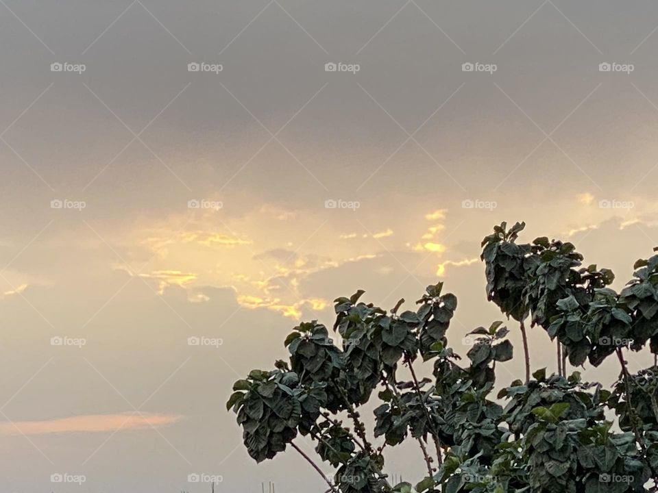 Cloudy days in Egypt 