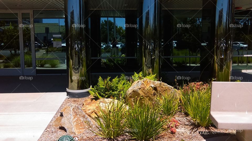 Low water use plantings decorate the entrance to a medical clinic