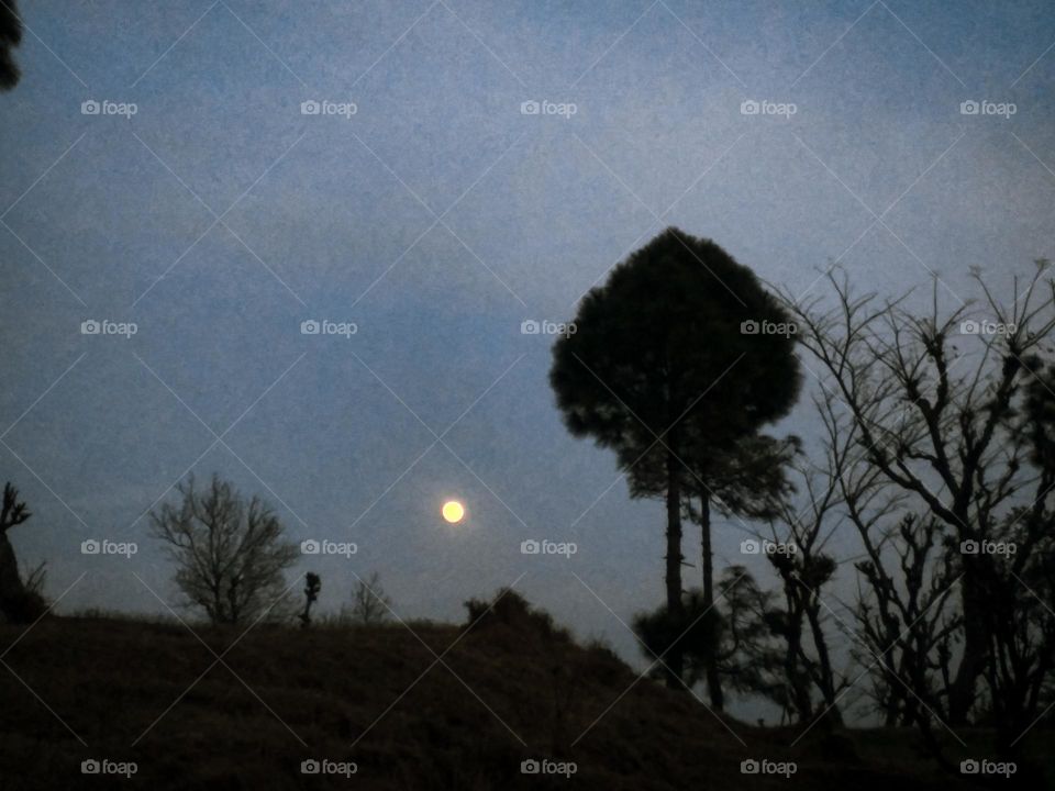 moon in the evening.