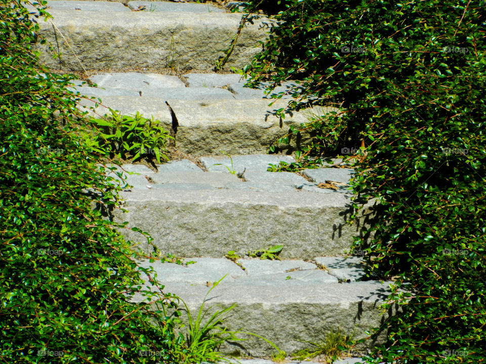 Steps in the park