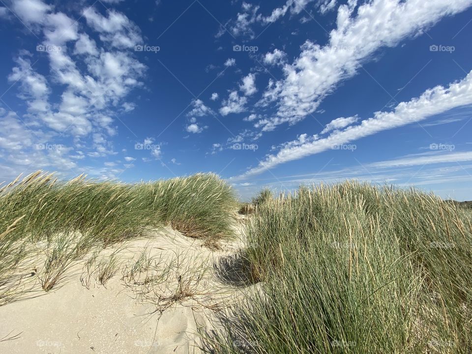 Balm for the soul a beautiful summer day at the sea Rømø Denmark 2020 