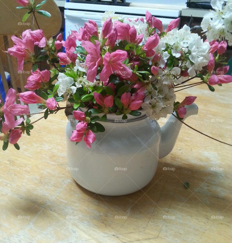 teapot flowers