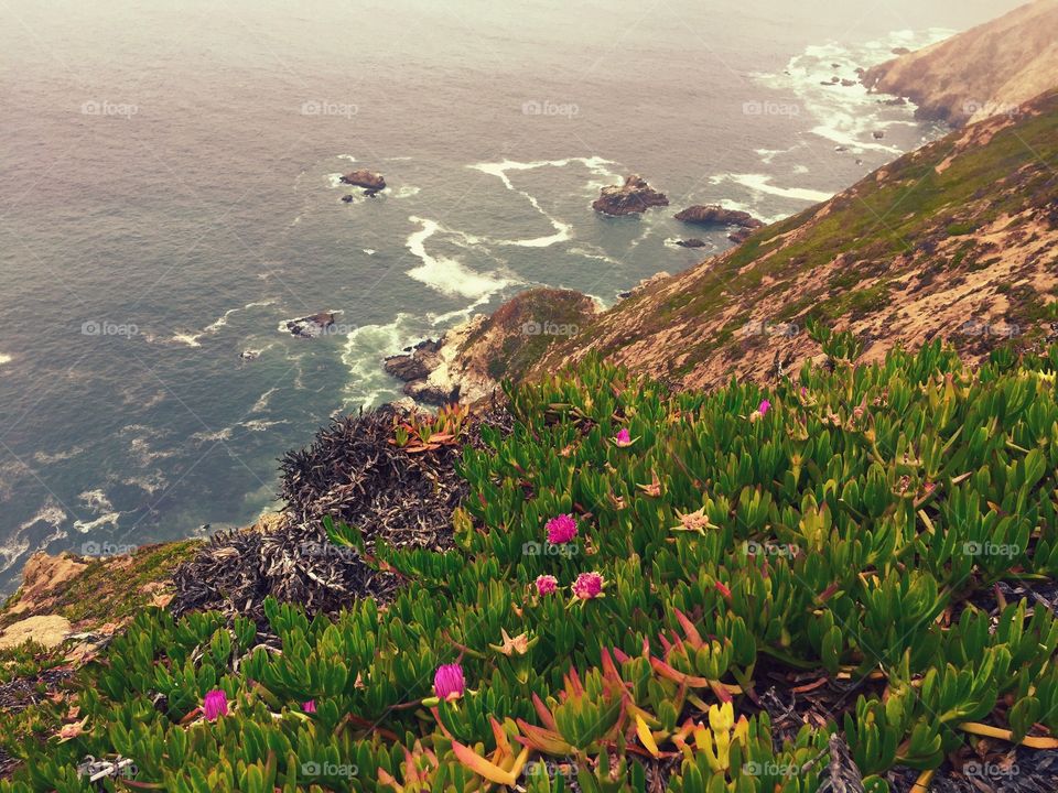Cliffs above the ocean