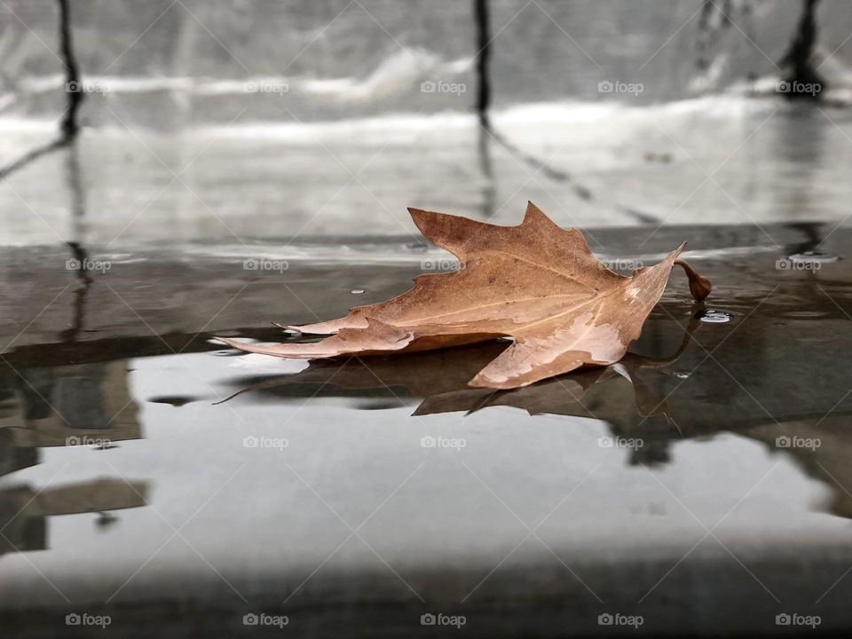 An angel’s unread message 