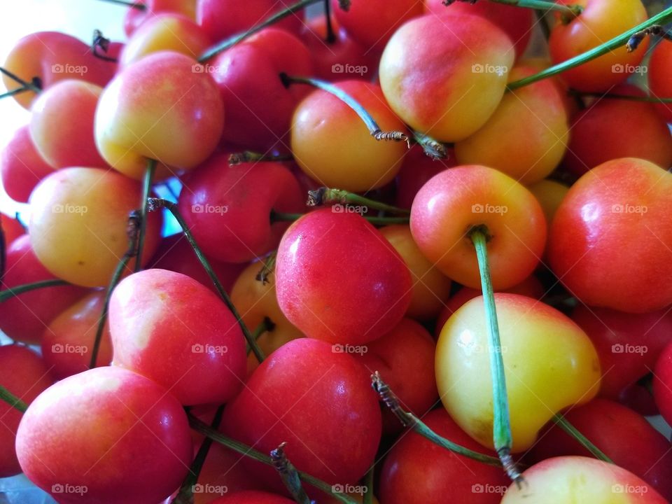 Rainier Cherries 🍒