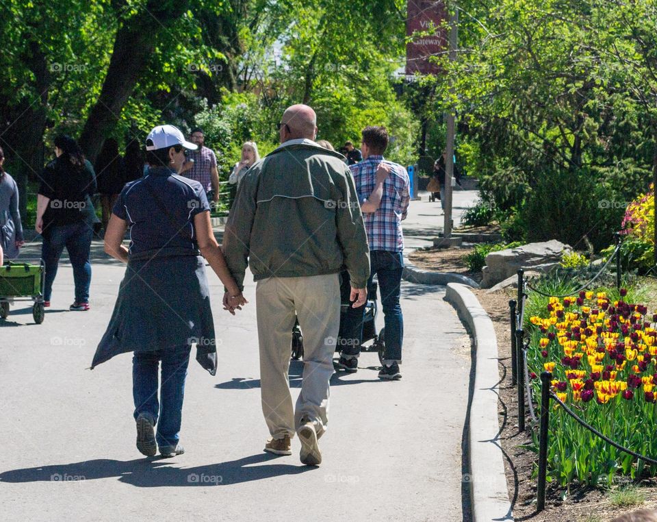 Couple middle aged holding hands walking away  back view