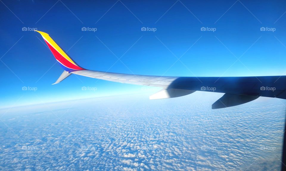 Homeward Bound Horizon