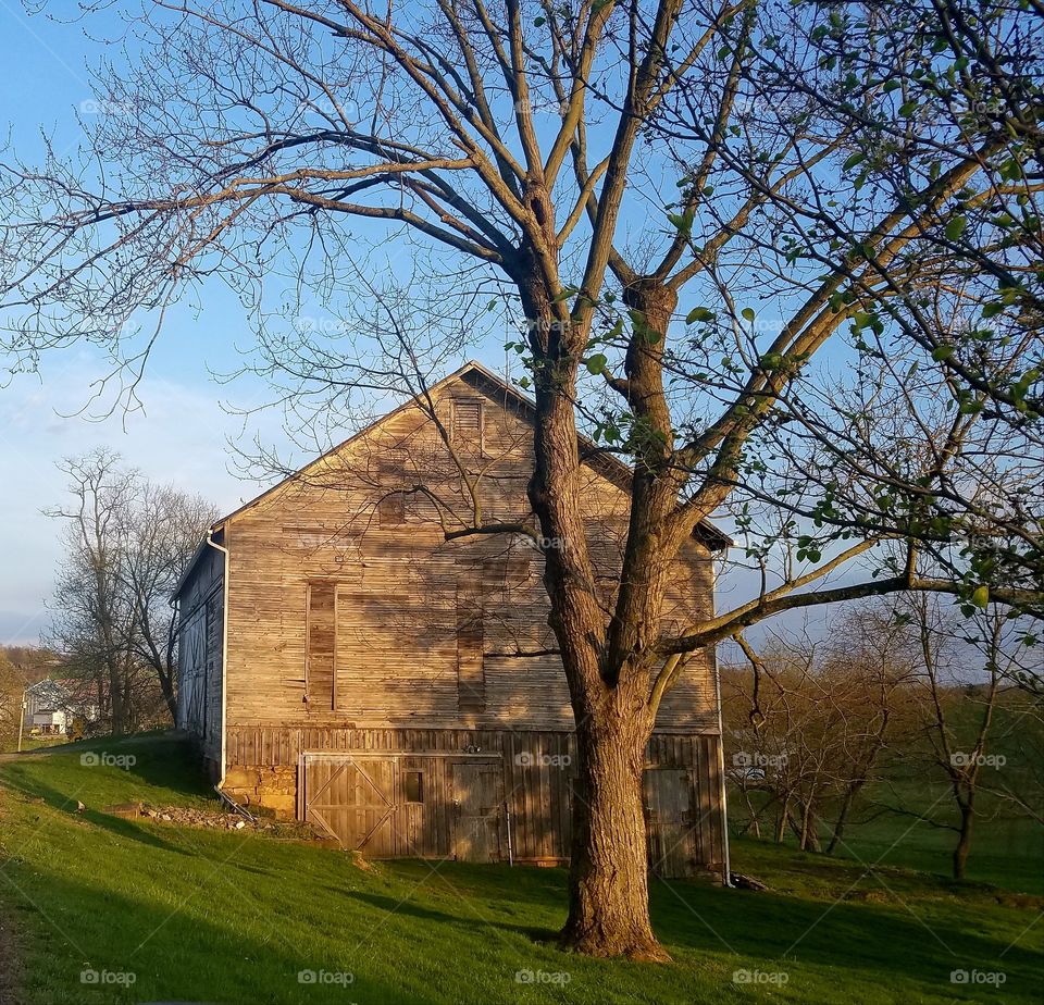 Wooden barn at farm with bare trees