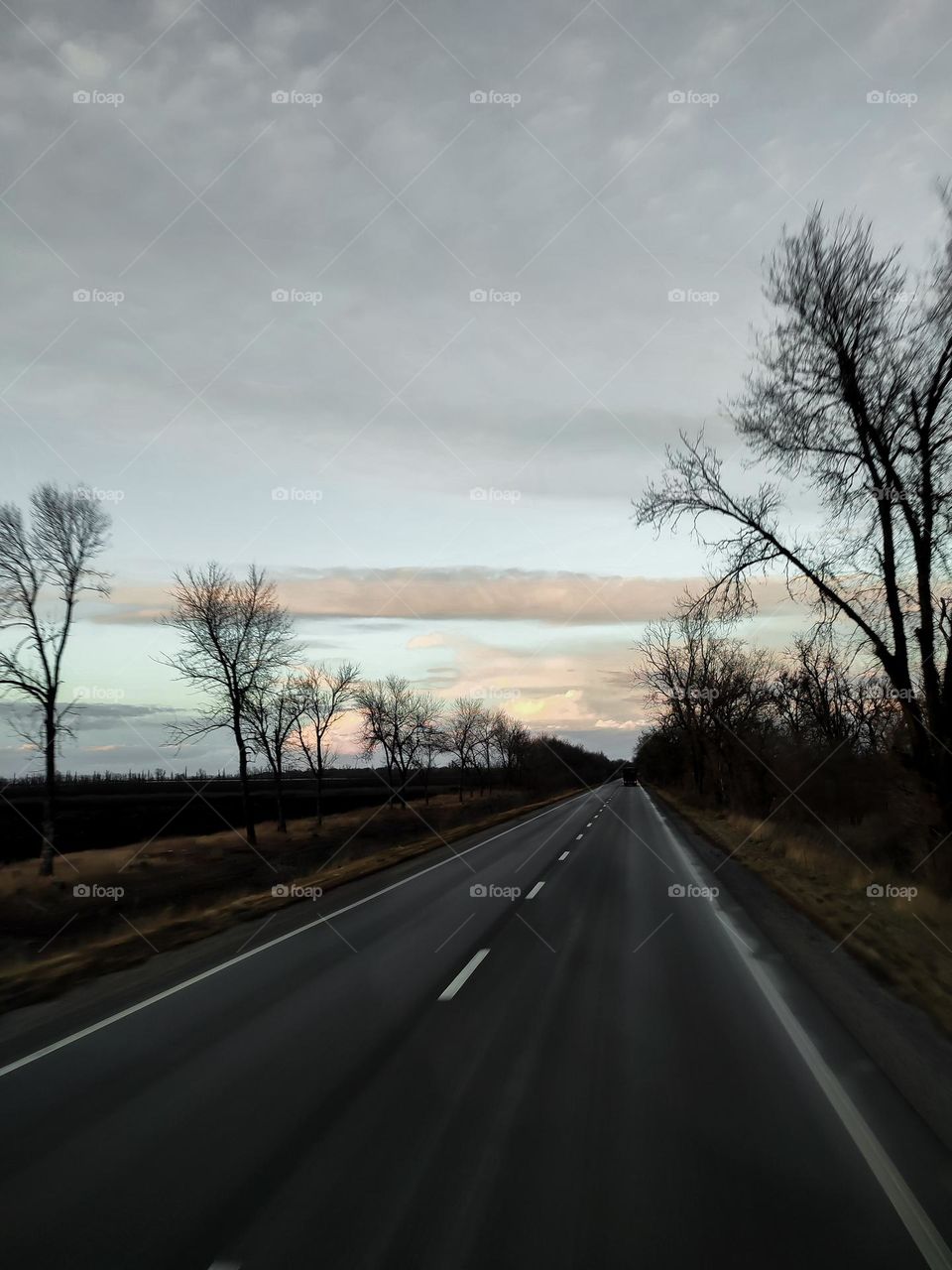 Driving on the highway. Car road trip. Gray asphalt highway in the countryside, dark trees on the way. Sunset colorful clouds. Horizon above the road. Far distance, journey, driving the car, car window view