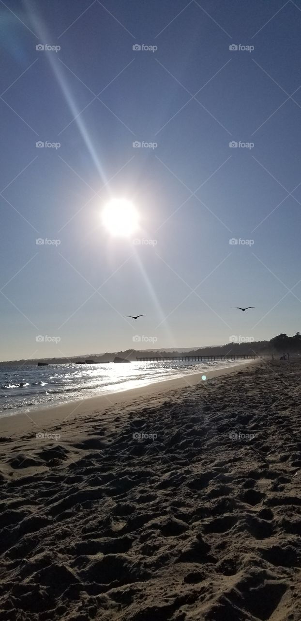 beach in the summer evening