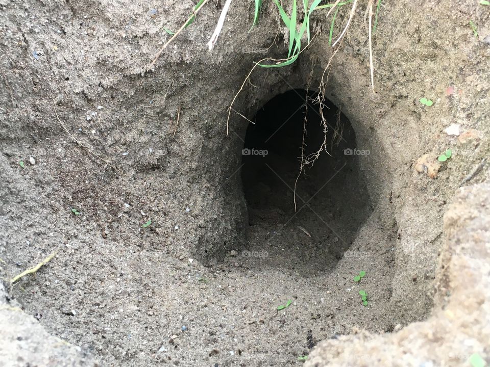 Rabbit hole underground