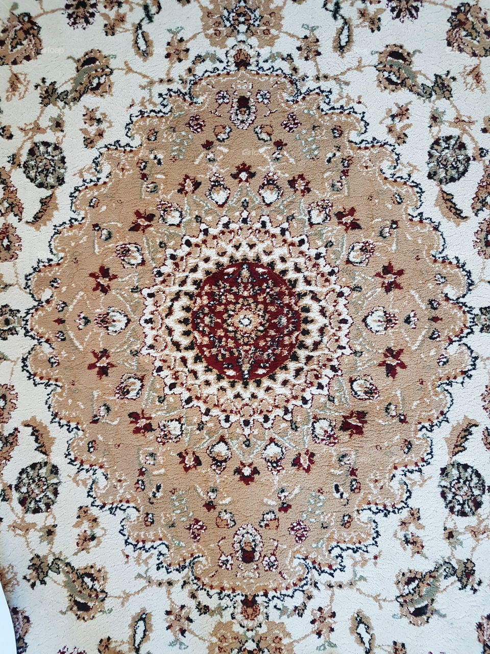 Beautiful Carpet