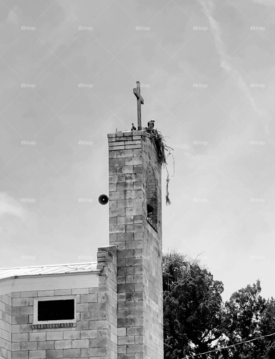 Osprey nest atop an old brick church steeple in Cedar Key. Low angle monochromatic view.