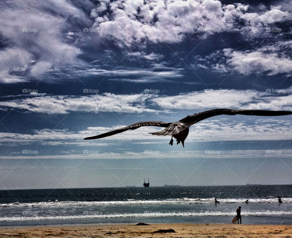 beach ocean sky nature by analia