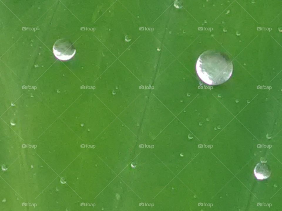 This is white water bubble she is shined  the sun.