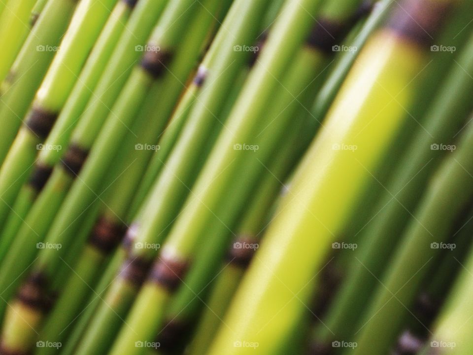 Closeup on bamboo desktop