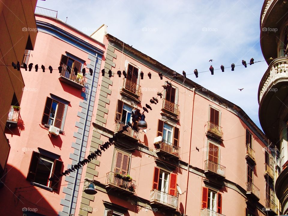 Windows and Birds. Somewhere in Italy 