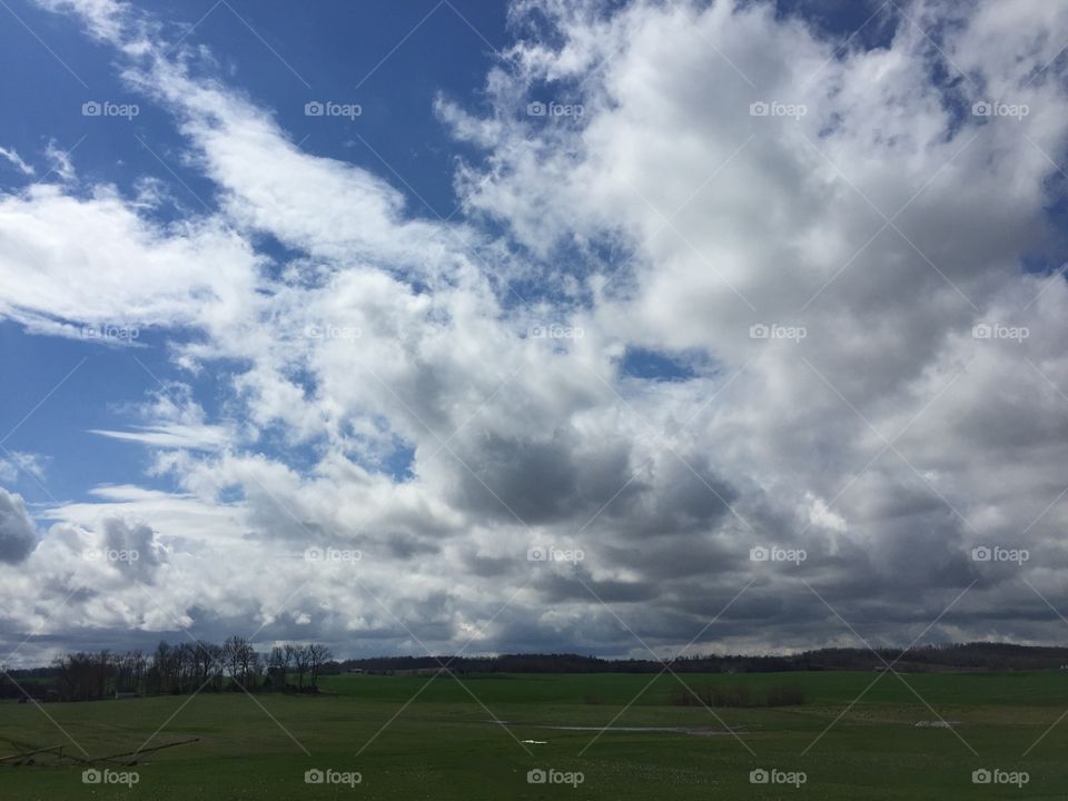 Field of clouds