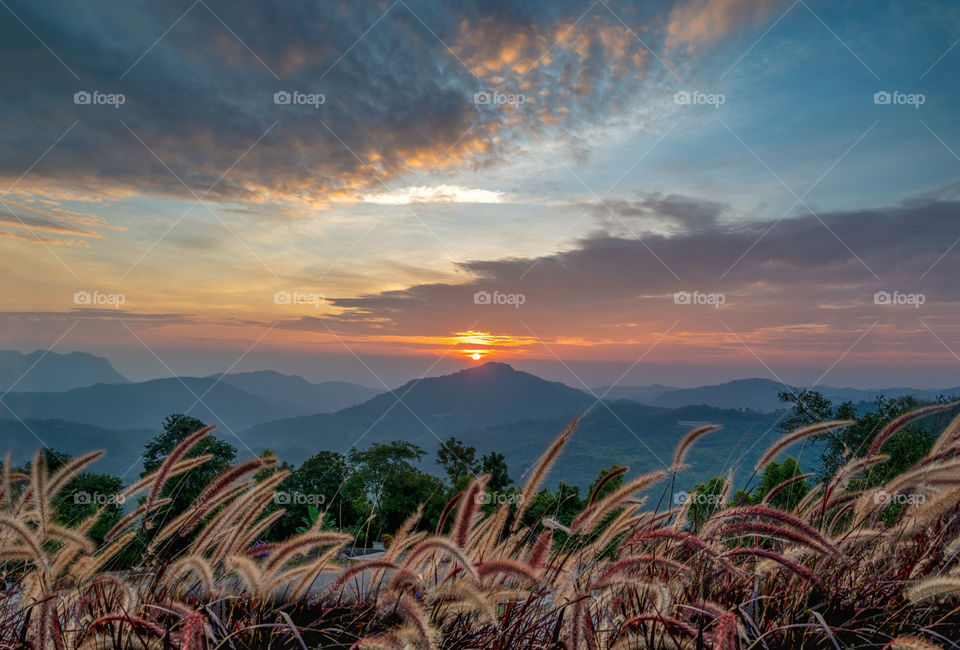 Beautiful sunrise scene above mountain and grass field scape