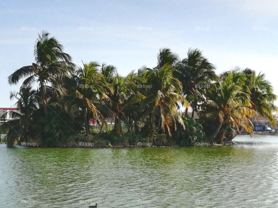 malibran lagoon