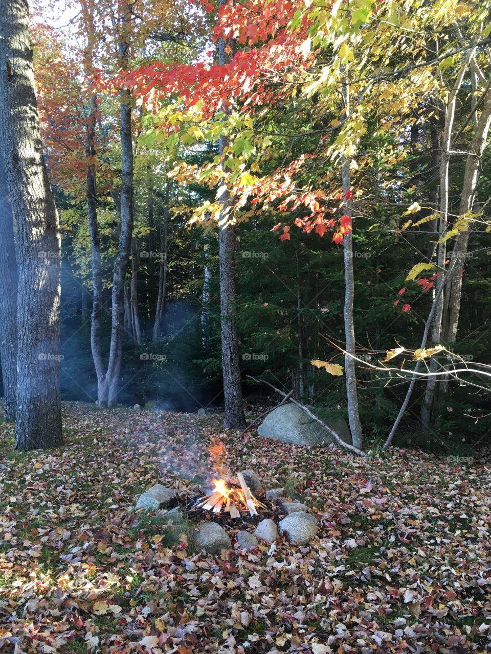 Fire pit amongst the red, green, yellow and orange tree leaves in beautiful Hubbards, Nova Scotia. 