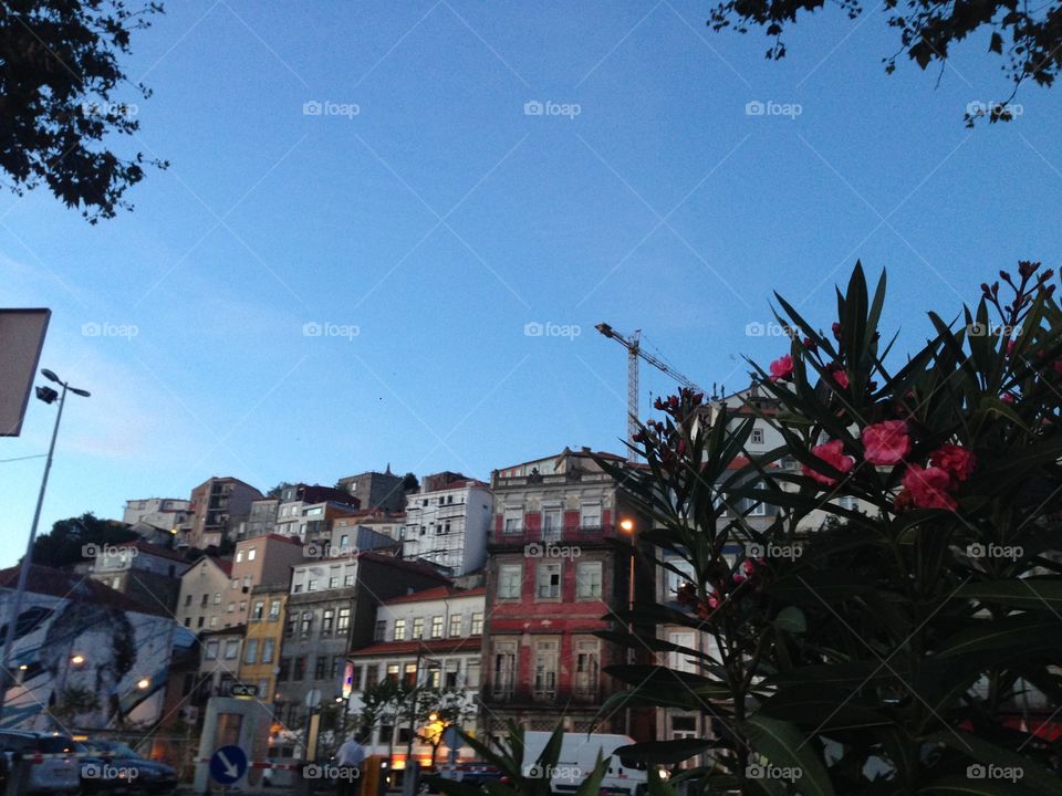 Porto beauty