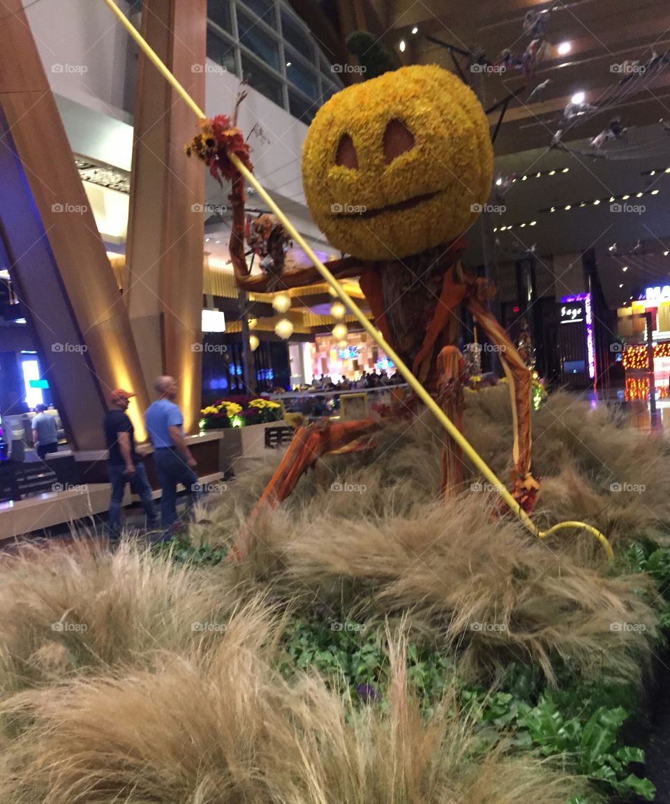 Festival, Evening, Light, Fun, Travel