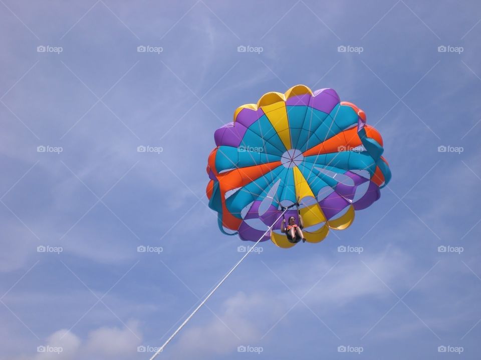 Up high where the birds fly...