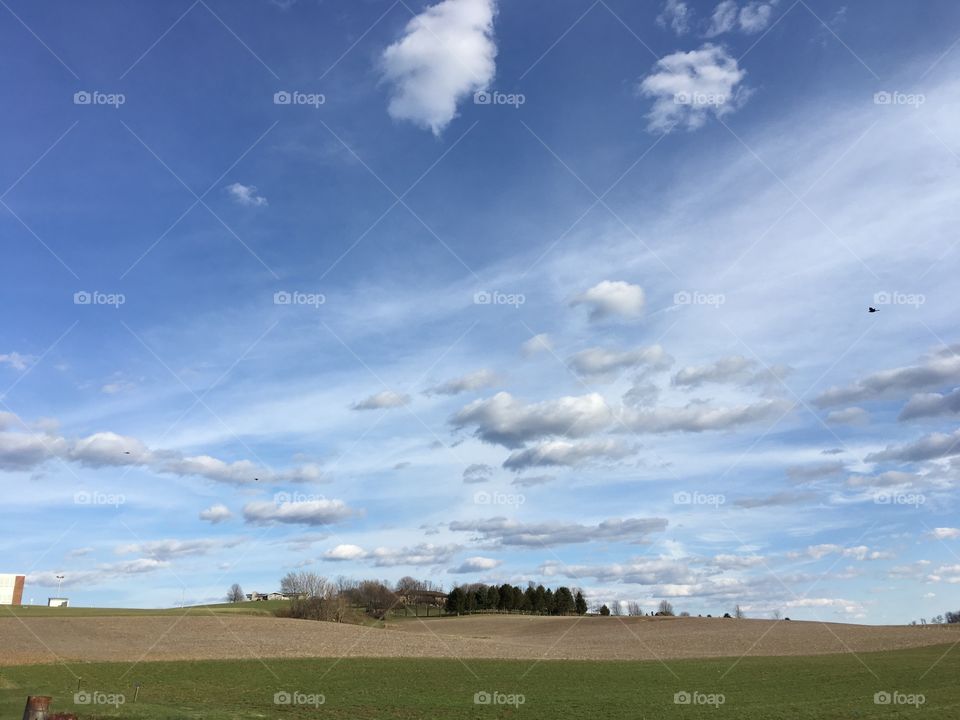 Land and Sky