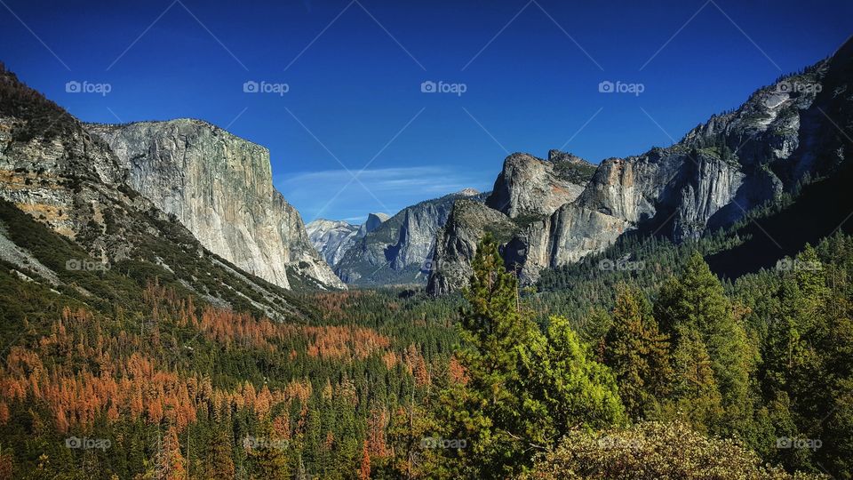 Yosemite Valley,  Yosemite National Park