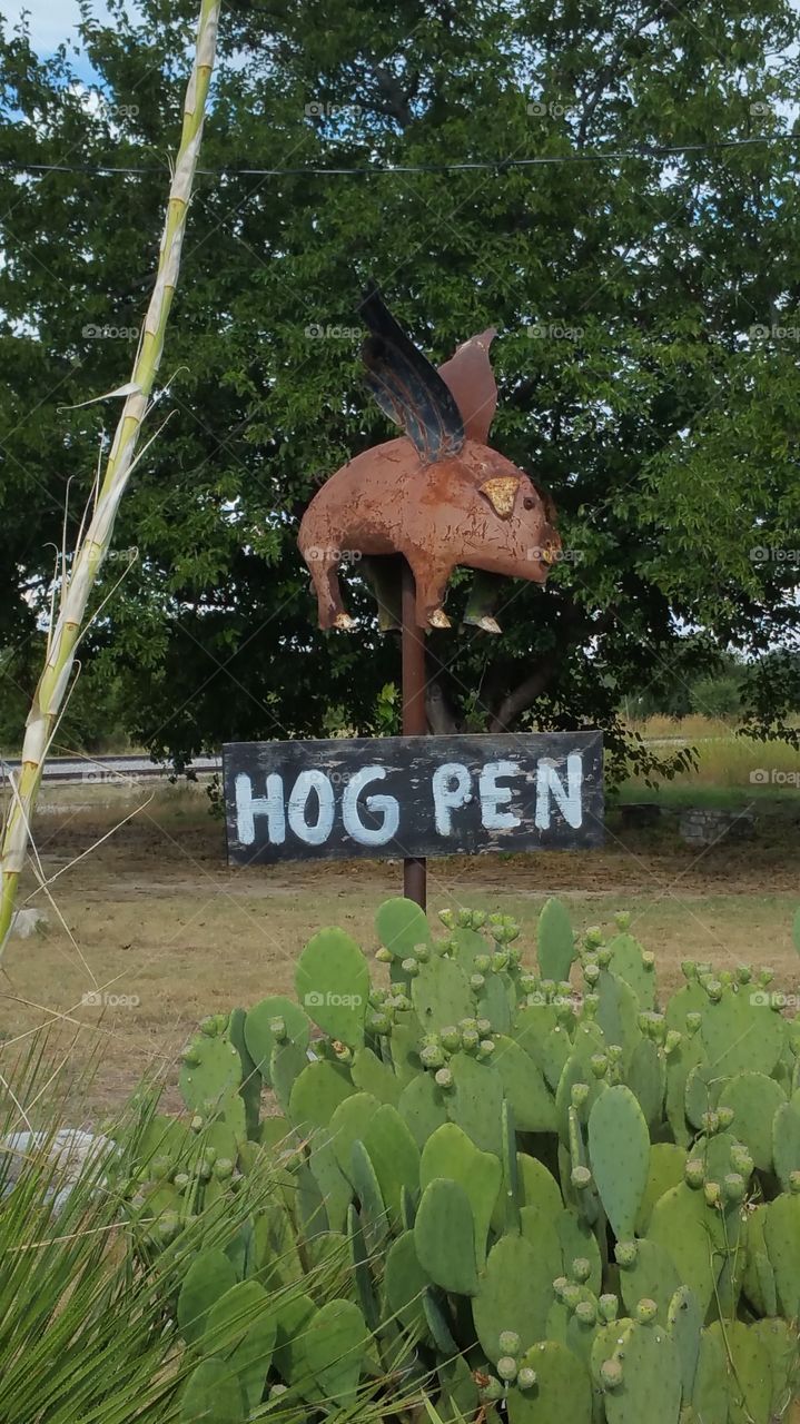 Hog Pen