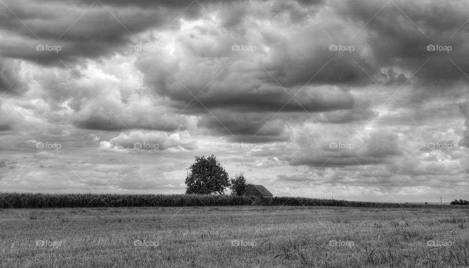 Landscape, No Person, Field, Farm, Nature