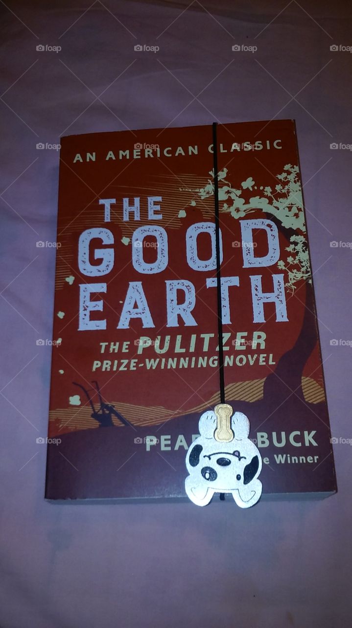 Lose yourself in a good book