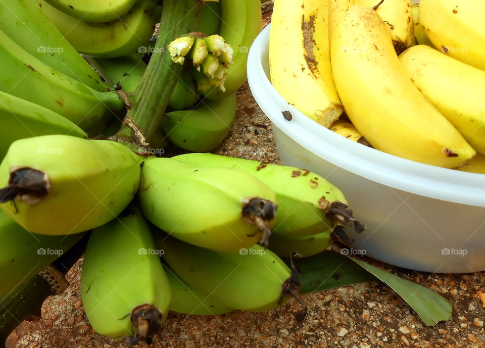 Banana Bunch Fall Off
