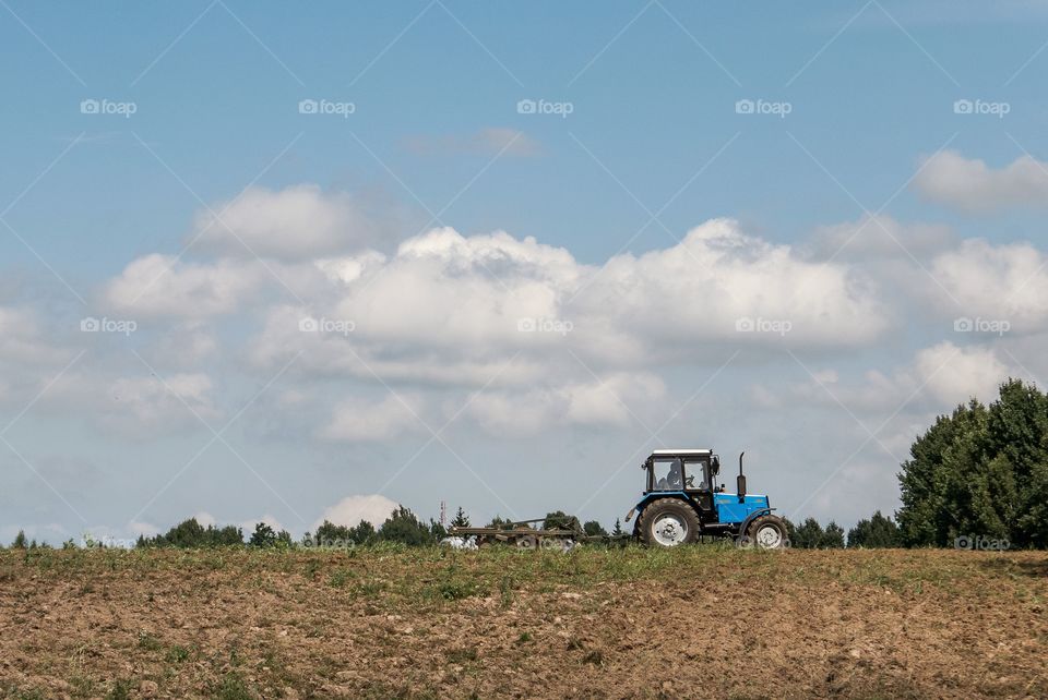 tractor works in the field