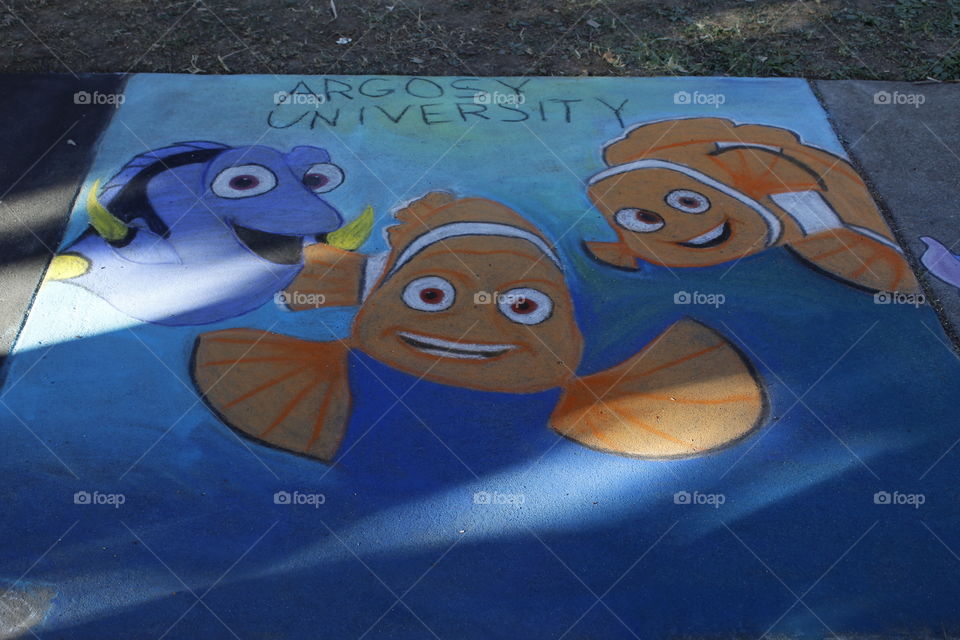 colorful fish with big eyes