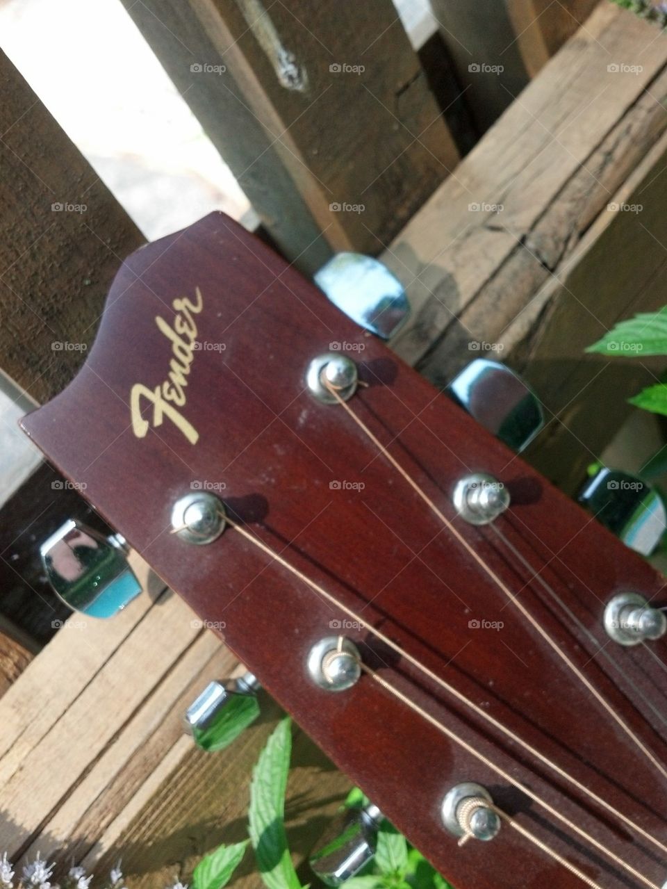 fender wood