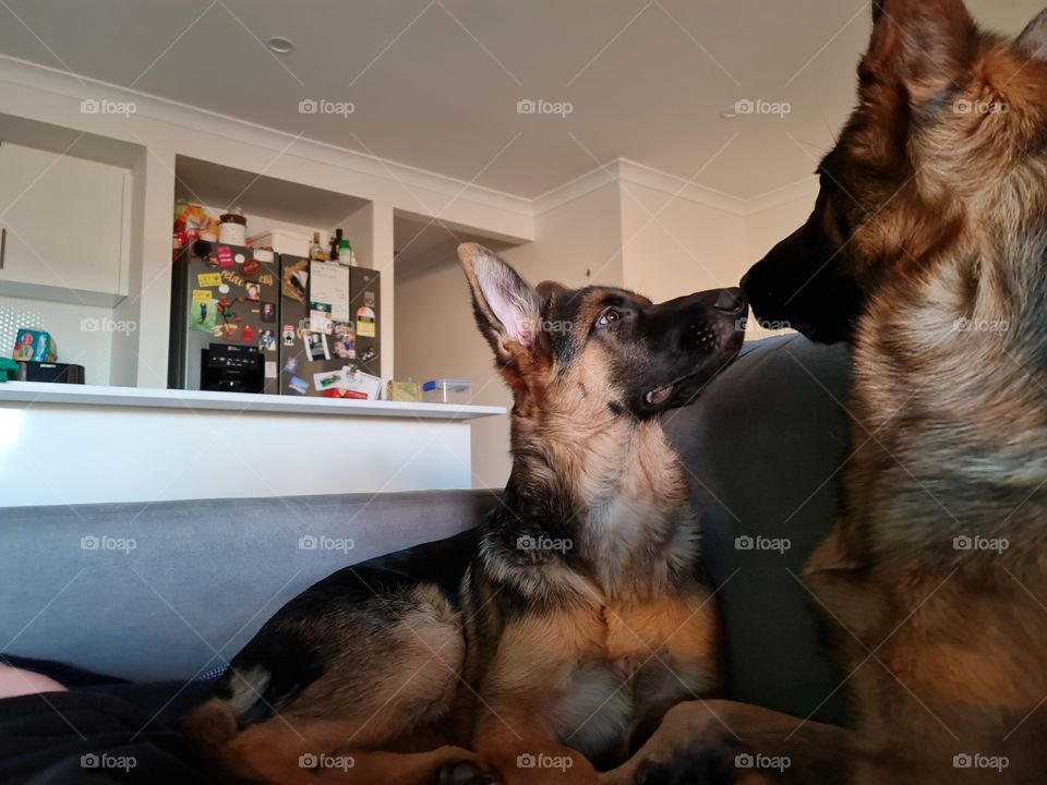 Yes sister I will listen