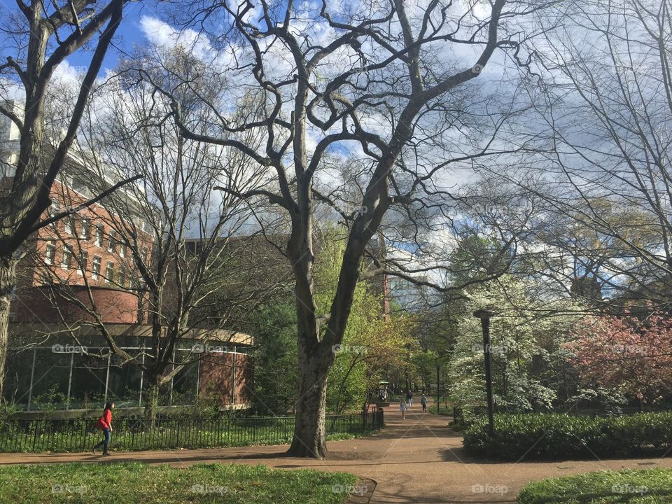 Vanderbilt university in Nashville 