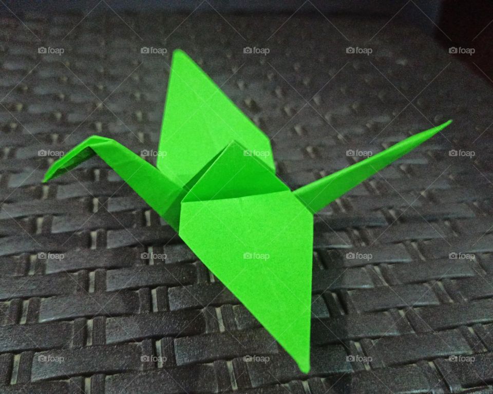 Play a green paper bird