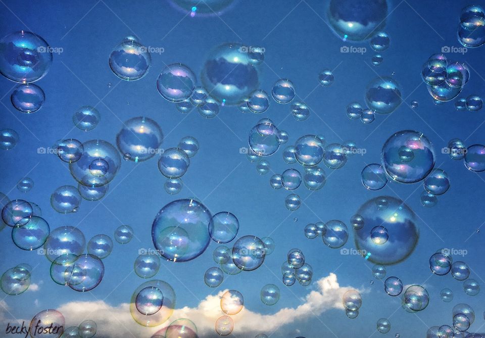 Bubbles 