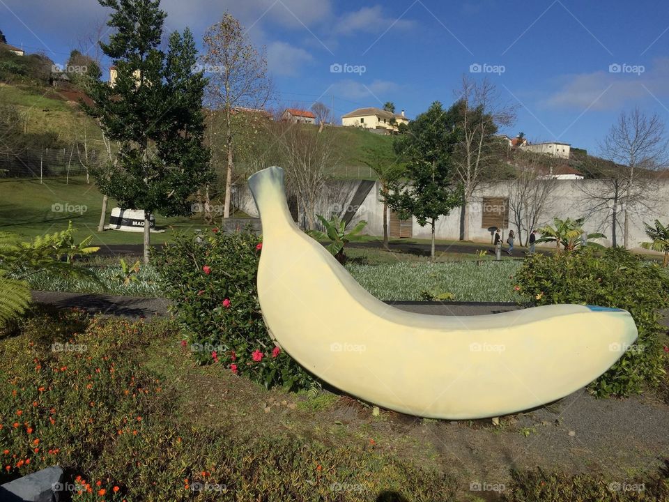Big banana 