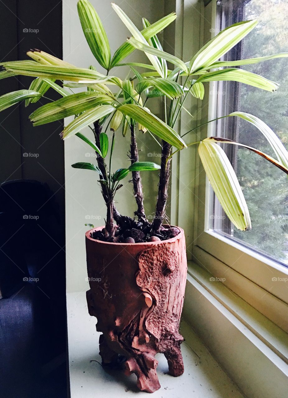 Natural light on handmade terra cotta flower pot carved by artisans. This pot is standing on legs & is uniquely hand carved, amazing work.