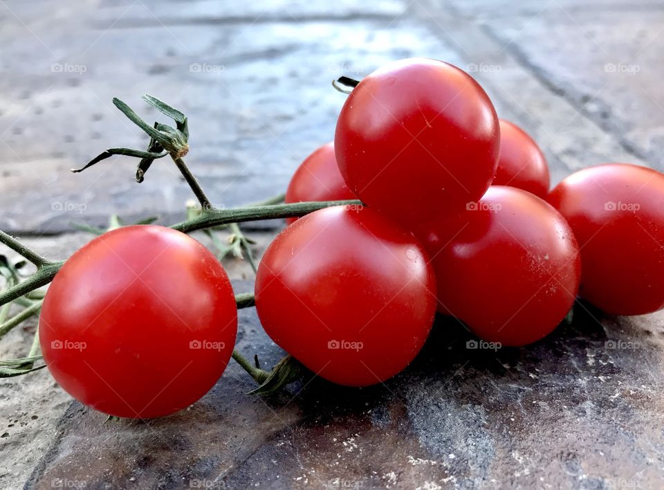 Tomato 