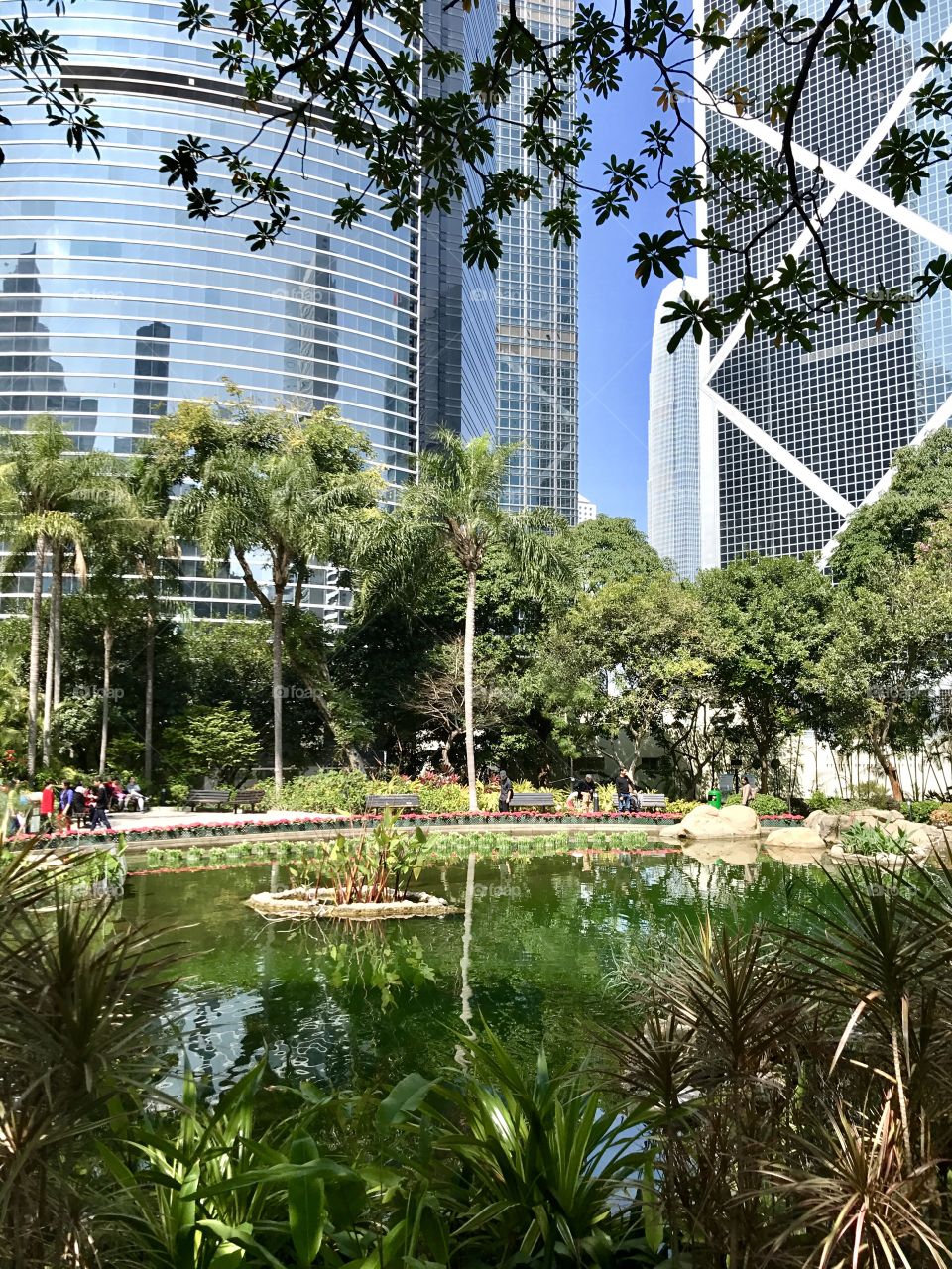 Hong Kong park