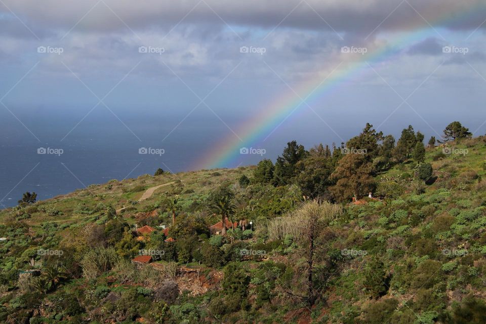 Rainbow over green forest and the atlantic ocean