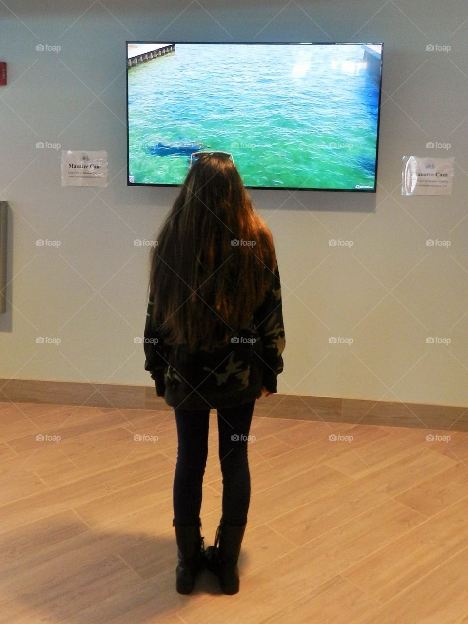 Checking out the manatee monitor