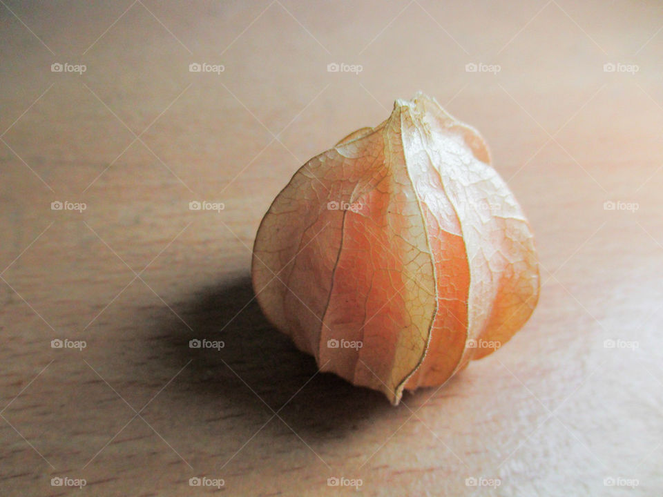 cape gooseberry